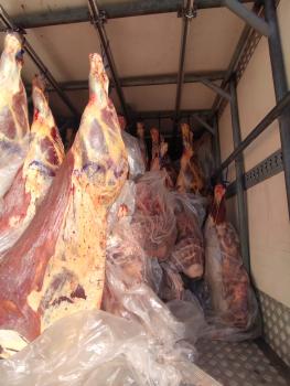 Detectan 15 mil kilos de carne presuntamente de contrabando